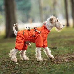 A small white dog wearing a bright orange dog jacket walks on a grassy path in a park with blurred trees in the background.