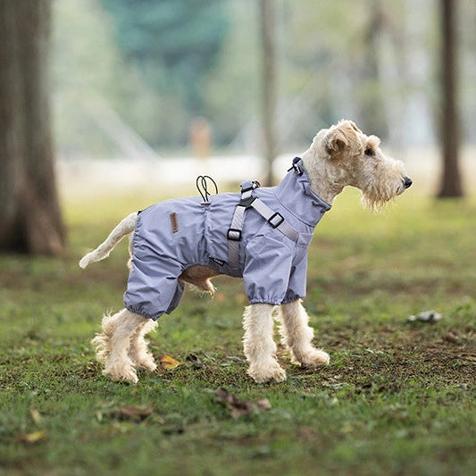 A small white dog standing in a grassy park wearing a light blue-gray dog coat with a harness, with blurred tree trunks in the background.