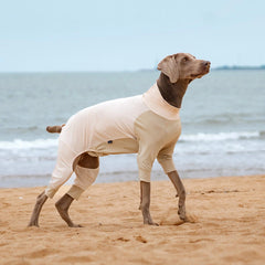Cooling UV Protection Dog Shirt for Medium & Large Dogs