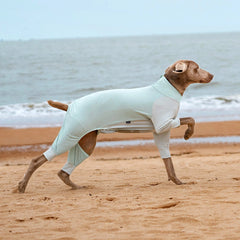 Cooling UV Protection Dog Shirt for Medium & Large Dogs