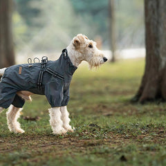 A small white dog standing on grass in a park wearing a dark gray dog coat. An inset at the top left shows the coat from the back with a glowing reflective panel and Chinese text below it.