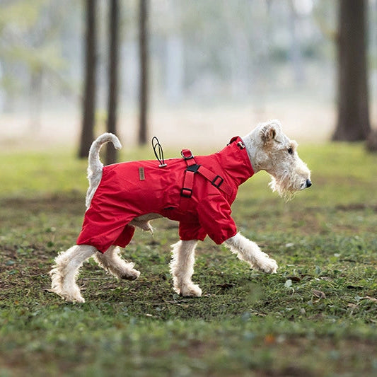 A small white dog wearing a bright red raincoat walks across a grassy forest path with blurred tree trunks in the background.