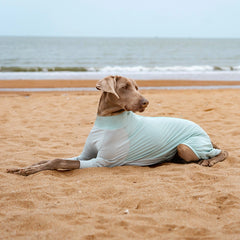 Cooling UV Protection Dog Shirt for Medium & Large Dogs