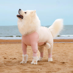 Cooling UV Protection Dog Shirt for Medium & Large Dogs