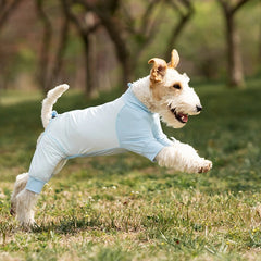 Cooling UV Protection Full Coverage Dog Shirt