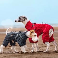 Reflective Outdoor Dog Rain Jacket