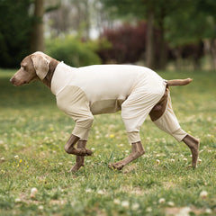 Cooling UV Protection Dog Shirt for Medium & Large Dogs