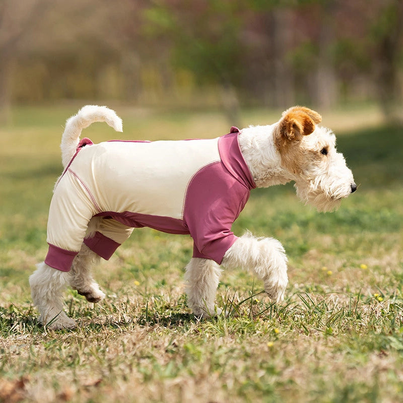 Dog wearing a white and pink outfit standing on grass
