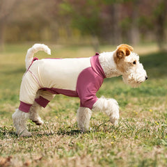 Dog wearing a white and pink outfit standing on grass