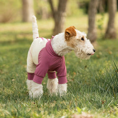 Dog wearing a pink sweater standing on grass with trees in the background