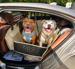 Reinforced Modular Hard Bottom Dog Car Seat Extender Cover