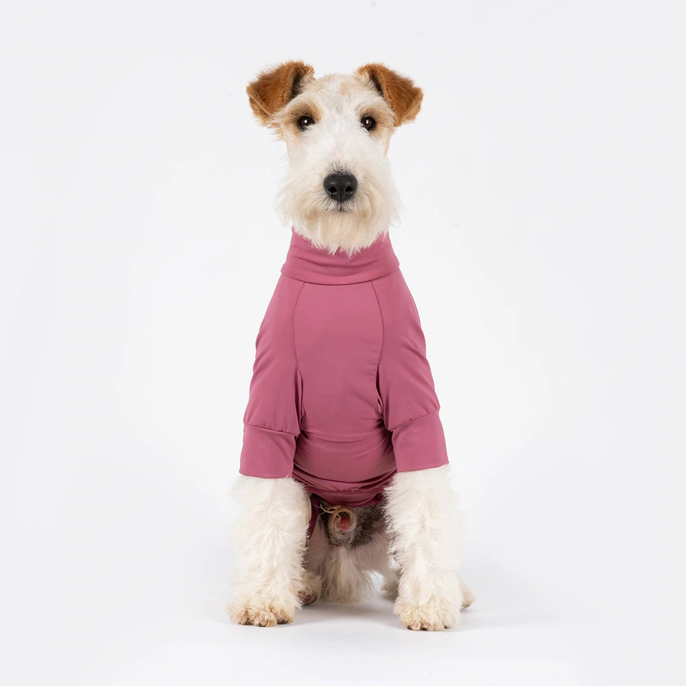 A small wirehaired dog wearing a dusty rose pink long-sleeve turtleneck pet sweater, sitting against a seamless white studio background.