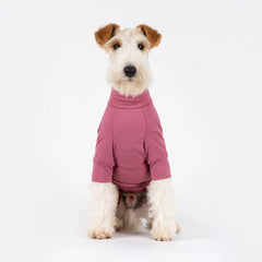 A small wirehaired dog wearing a dusty rose pink long-sleeve turtleneck pet sweater, sitting against a seamless white studio background.