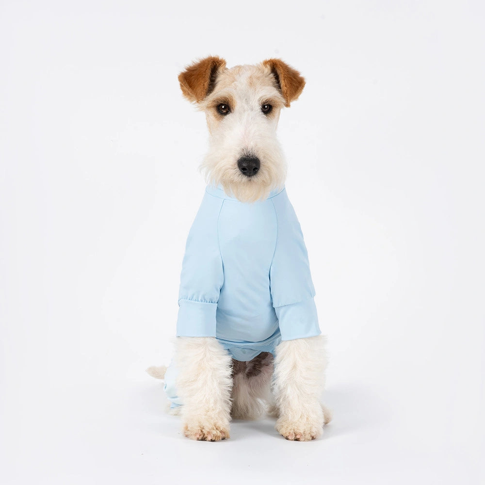 Dog wearing a light blue outfit on a white background